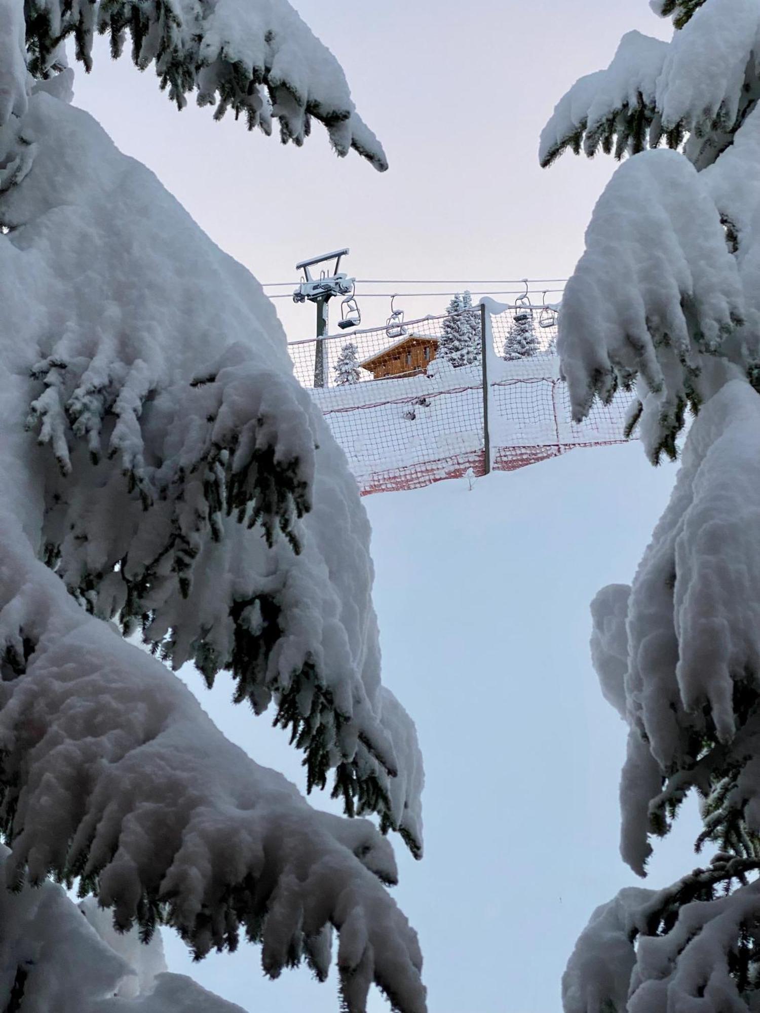 Apartment Naturhaus Loacker Lech am Arlberg