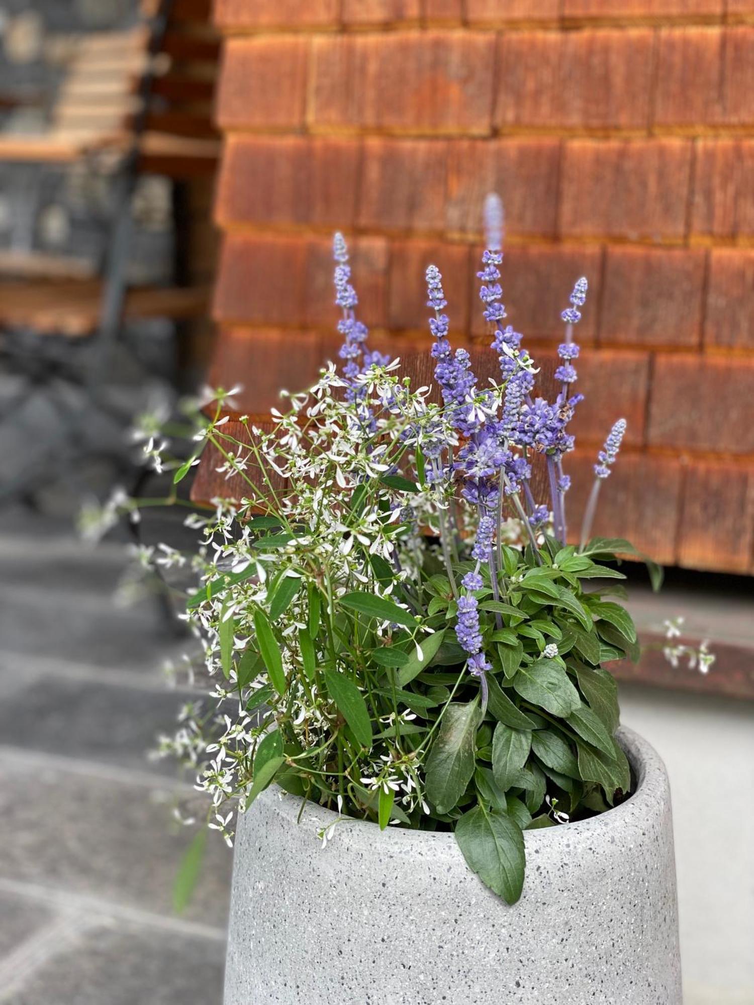 Apartment Naturhaus Loacker Lech am Arlberg