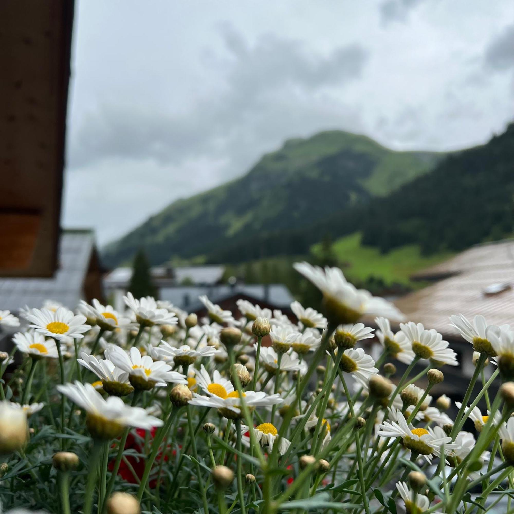 Naturhaus Loacker Lech am Arlberg